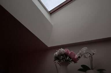 a vase filled with flowers under a skylight